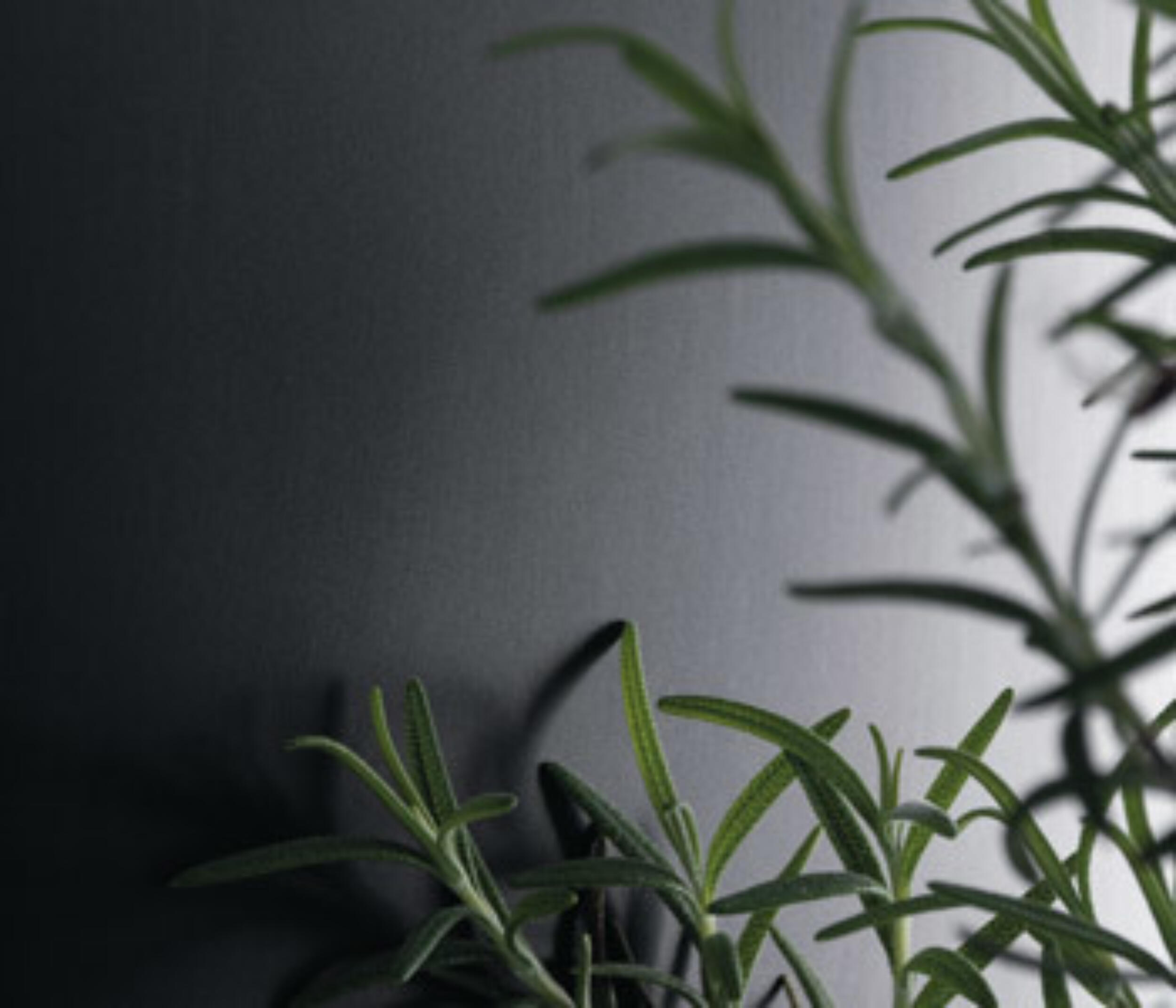 Unilin LIME CHALK WHITE 0F259 M02