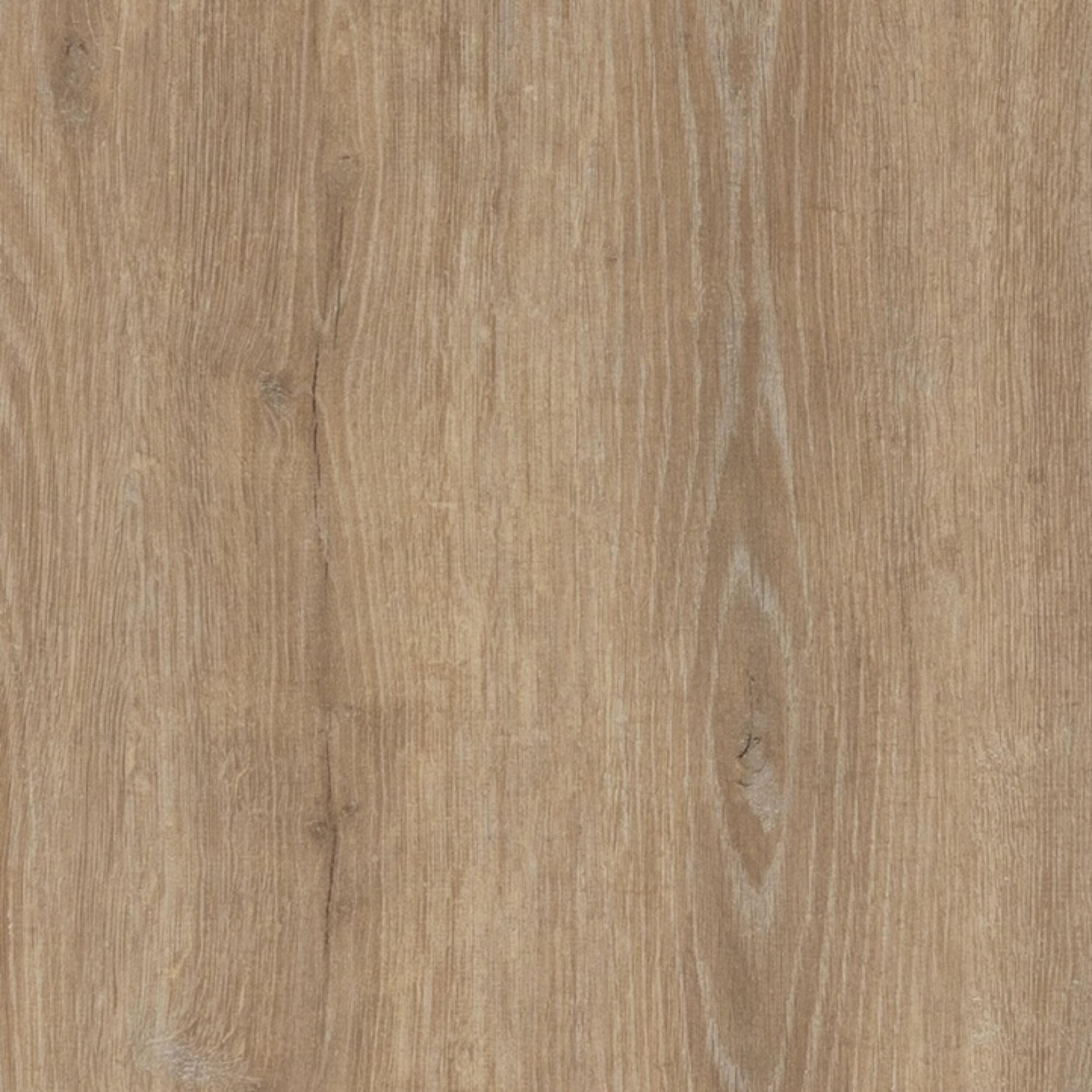 Chestnut Woodline