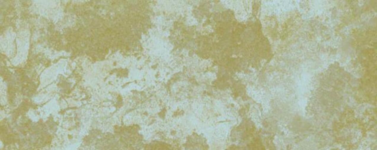 Low res nm02 forged alloy 1000x1000px