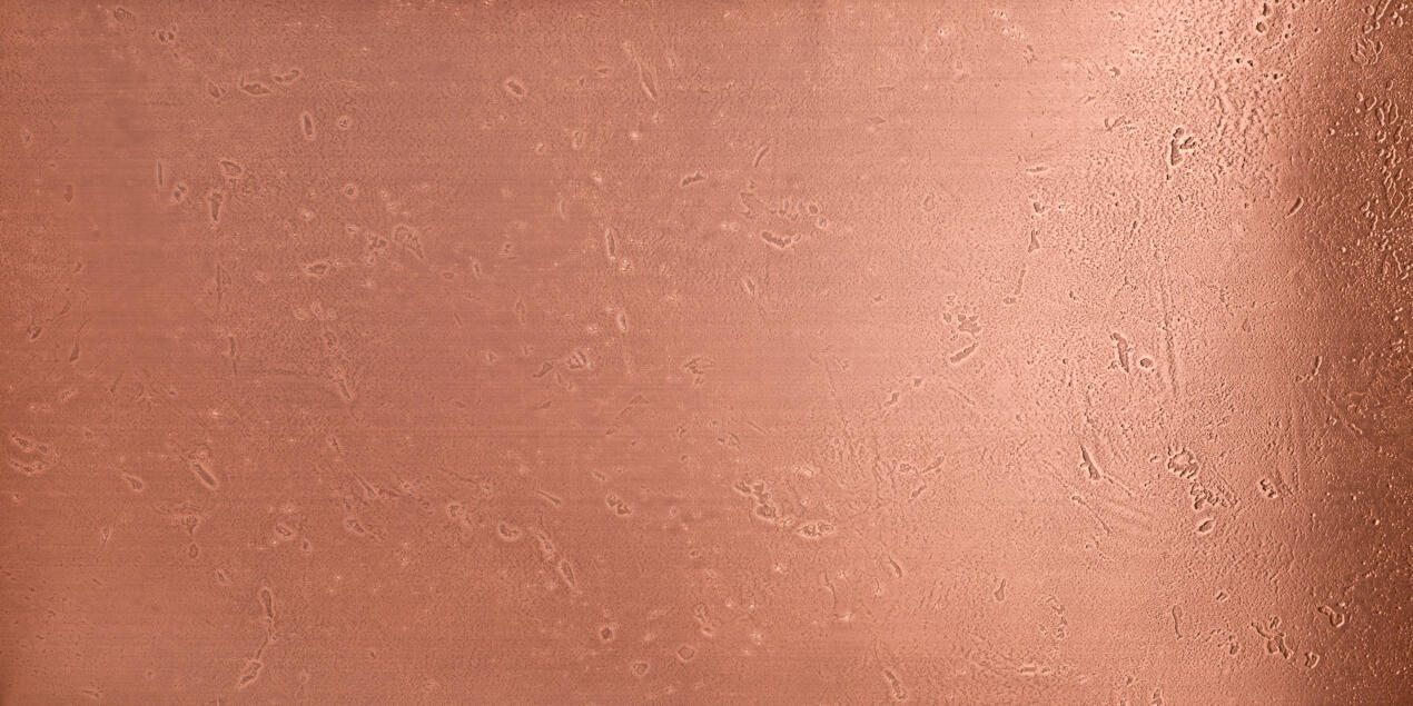 Translate to Englisch 637 502 Full Sheet Image Fullsheet