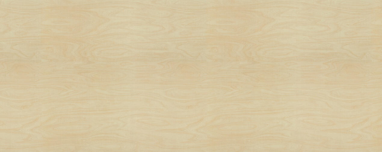 Formica F8910 Raw Birchply full sheet