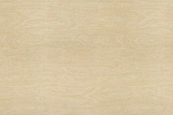 Formica F8910 Raw Birchply full sheet