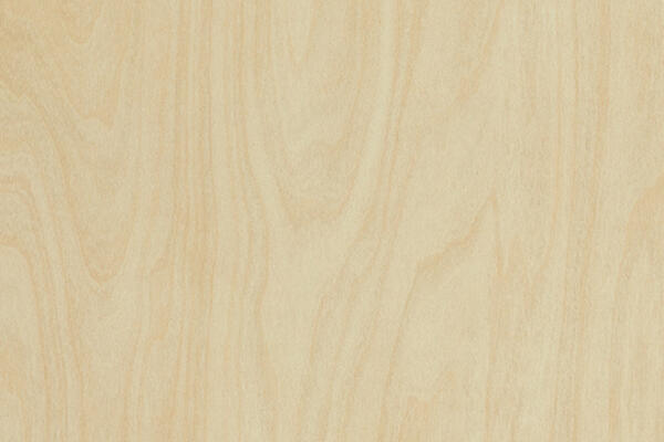 Formica F8910 Raw Birchply swatch