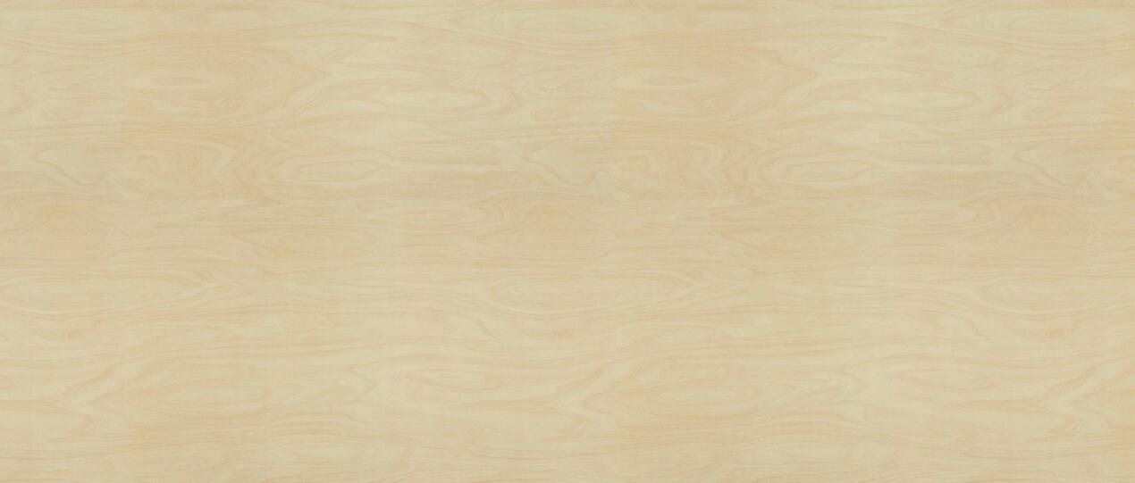 Formica F8910 Raw Birchply full sheet