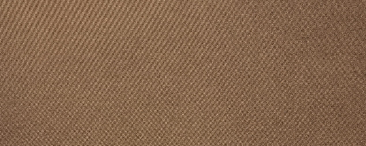 Translate to Englisch 807 980 Alu Relief Plex Bronzeton Detail 1