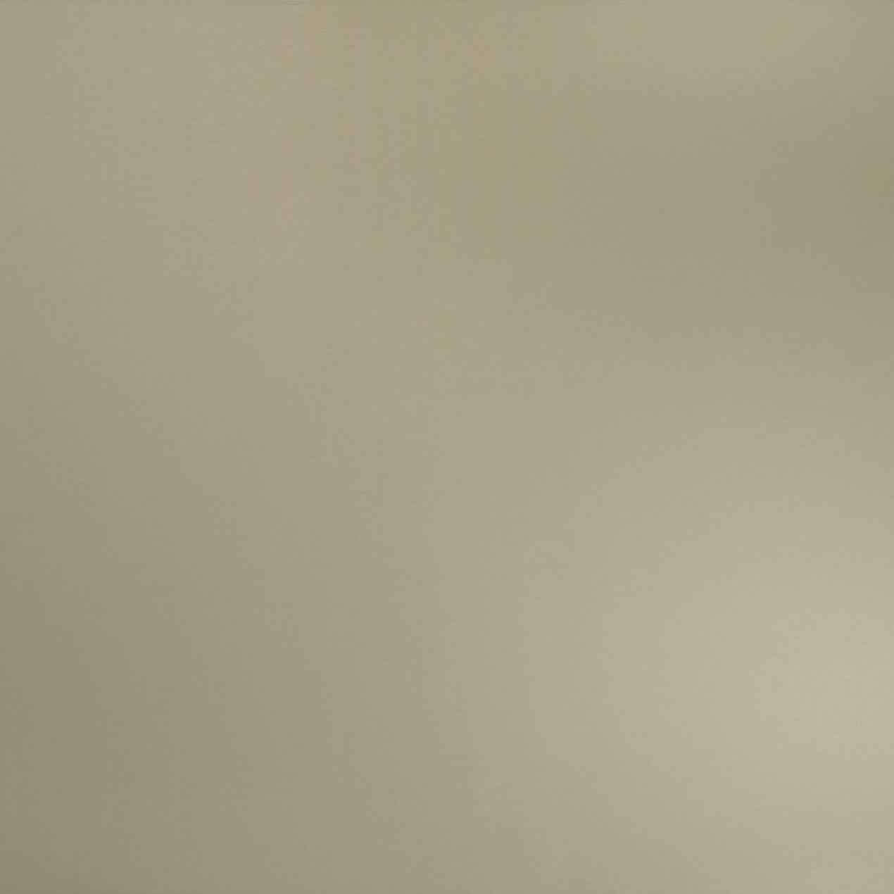 Alu Brushed Champagne