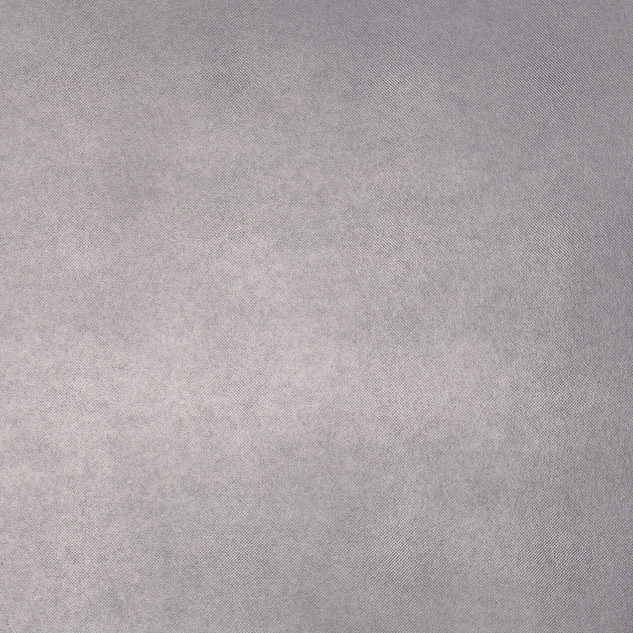 Alu Plex Stainless Steeltone