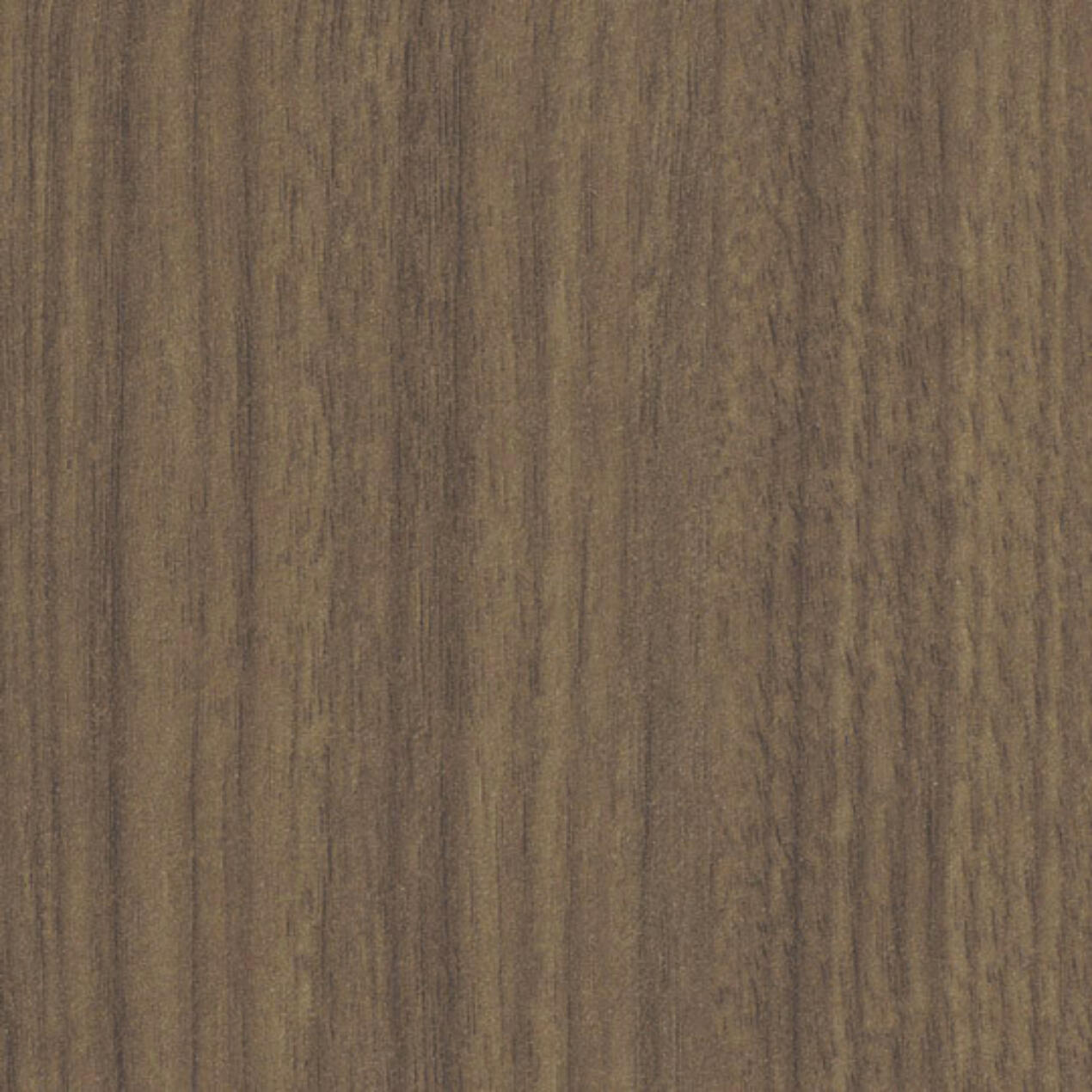 Formal Walnut