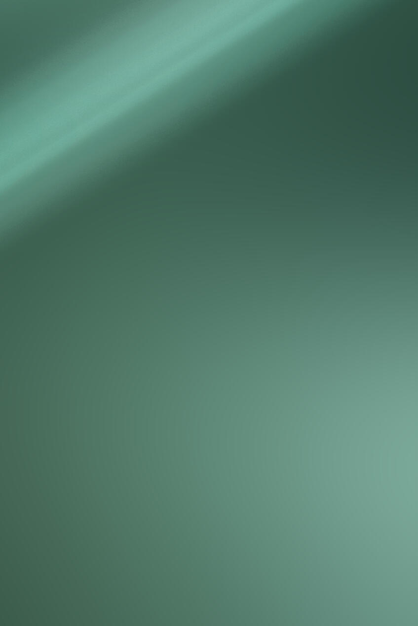 Alu Mirror Polished Moss Green