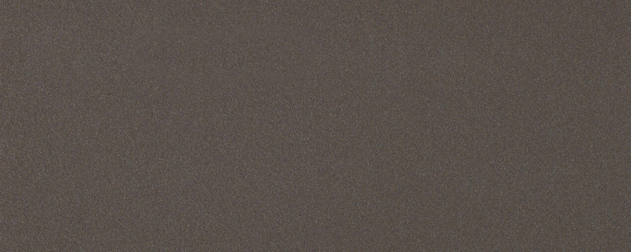 2629