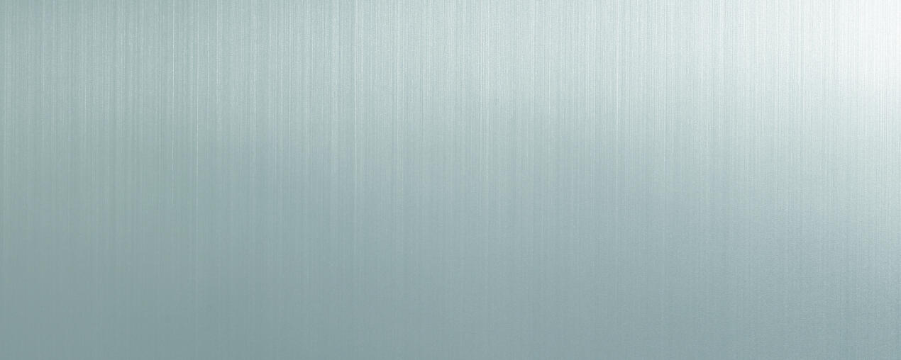 Stainless Steel Brushed