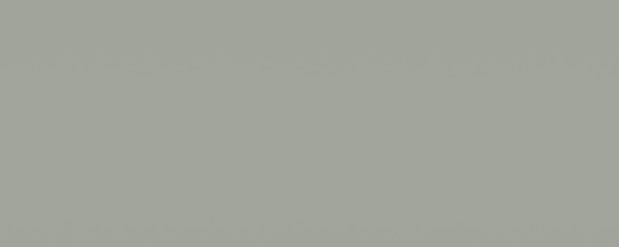 Light Grey Glossy (Boardmarker)