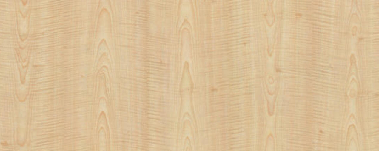 French Sycamore