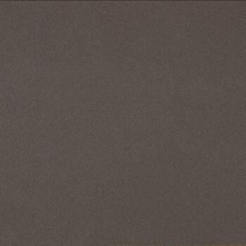 2629