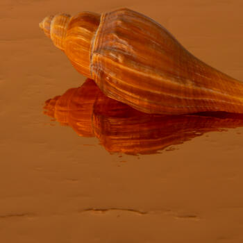 Dekodur A212 AQA A212/AQA