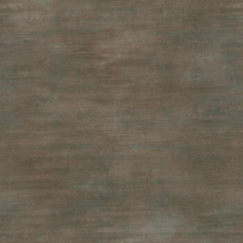 Formica Burnished Coin F3708