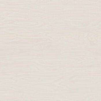Formica White Washed Birchply F6372