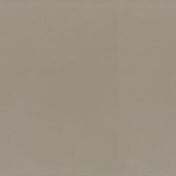 Formica Kopie Vintage Brush F8859