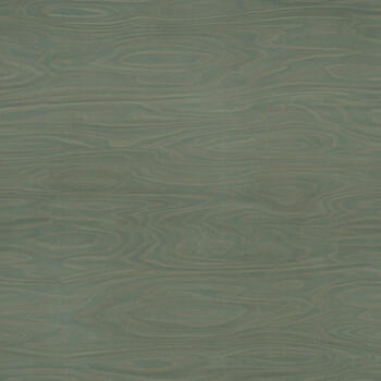Formica Green Slate Birchply F8911