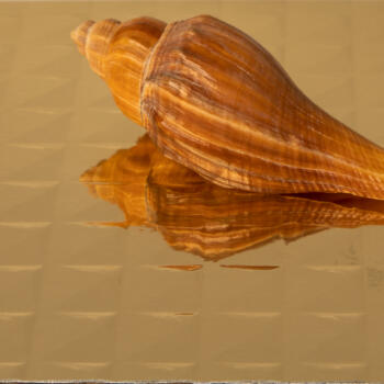 Dekodur A211 PYR A211/PYR