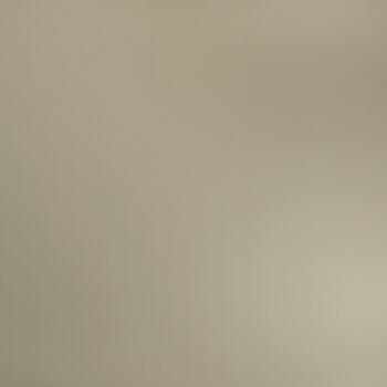 Homapal Alu Brushed Champagne 325 SRM