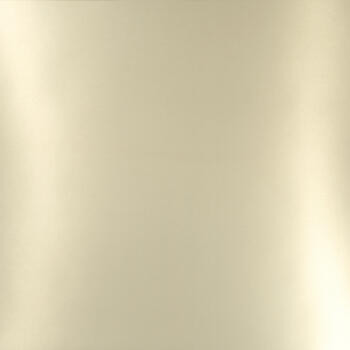 Homapal Aluminium Brushed Goldtone 442