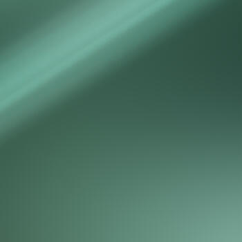 Homapal Alu Mirror Polished Moss Green 476