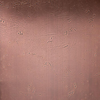 Homapal Copper Moon Dark 636/502