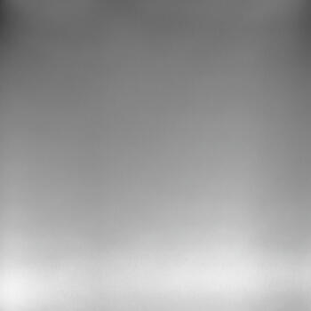 Homapal Brushed Natural Special 791