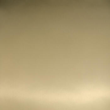 Homapal Brushed Goldtone Special 794