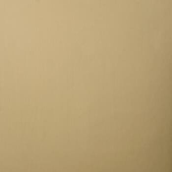 Homapal Alu Plain Polished Goldtone 342/000