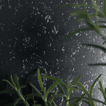 Formica Etchings AET