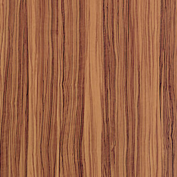 Formica Oiled Olivewood F5481