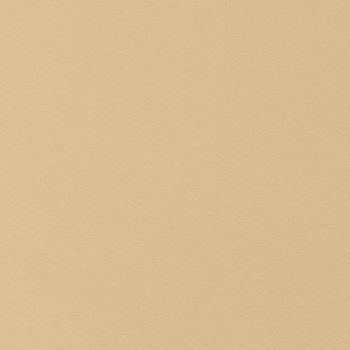 Formica Frosted Gold F6352