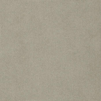 Formica Plex Argent M5306