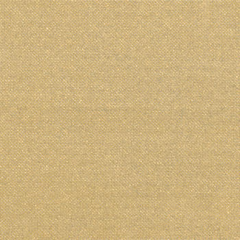 Formica Plex Gold M5309